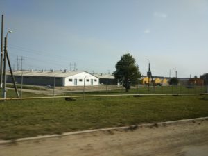 Trip to Danosha pig farms in Ivano-Frankivsk region