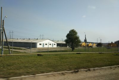 Trip to Danosha pig farms in Ivano-Frankivsk region