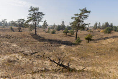Науковці заповідника “Дніпровсько-Орільський” стежать за кліматичними показниками та якістю повітря